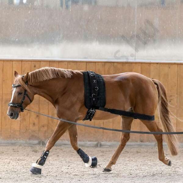 Waldhausen futószárazáshoz hátsó heveder 