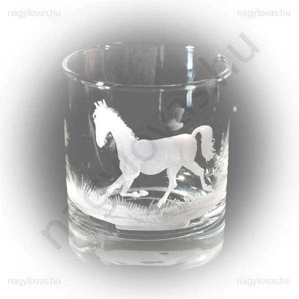 Whiskys csiszolt pohár 6db/szett